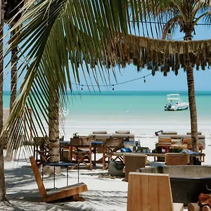 Casa Tortugas Petit & Отель Остров Холбокс